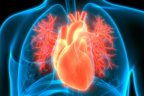 Możliwości zapobiegania rozwojowi continuum sercowo-naczyniowego